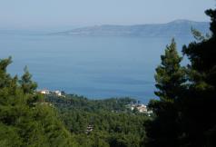 thumb_big_1_1ce89380[1]