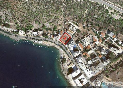 12924525_1093952963974011_3587009465329758093_n